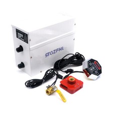 220V 3KW Professional Steam